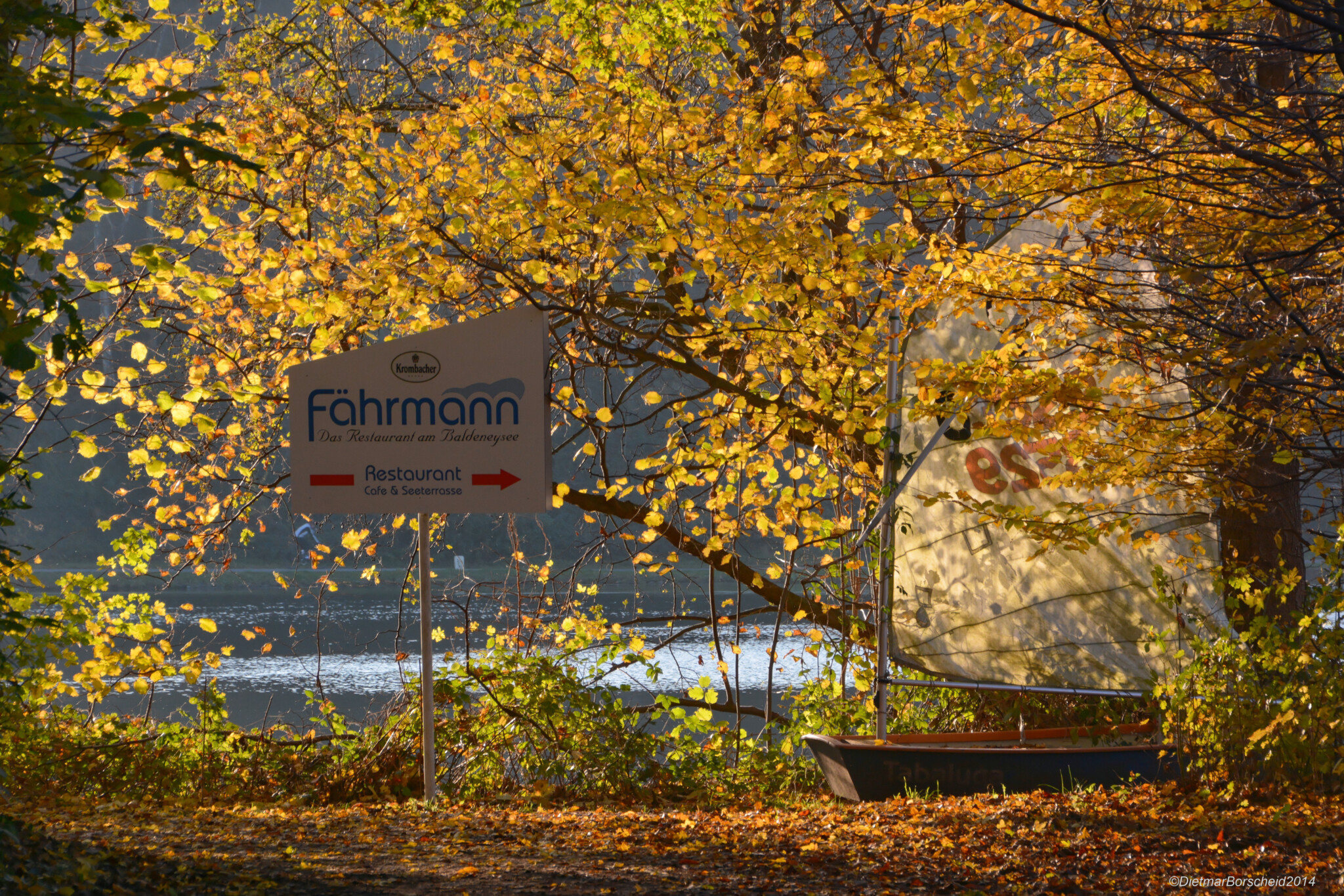 11_2014 Herbst (19)_DxO_DxO