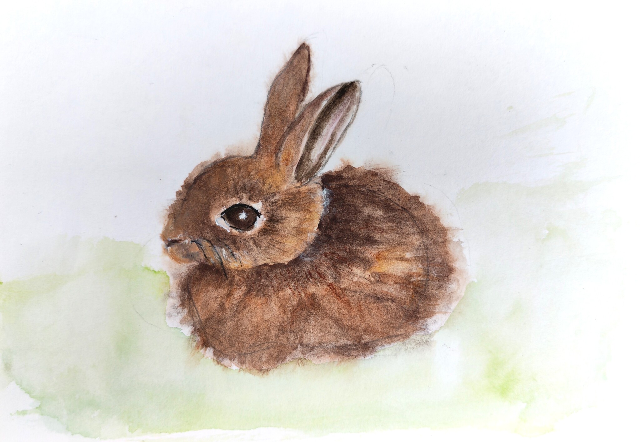 Häschen groß